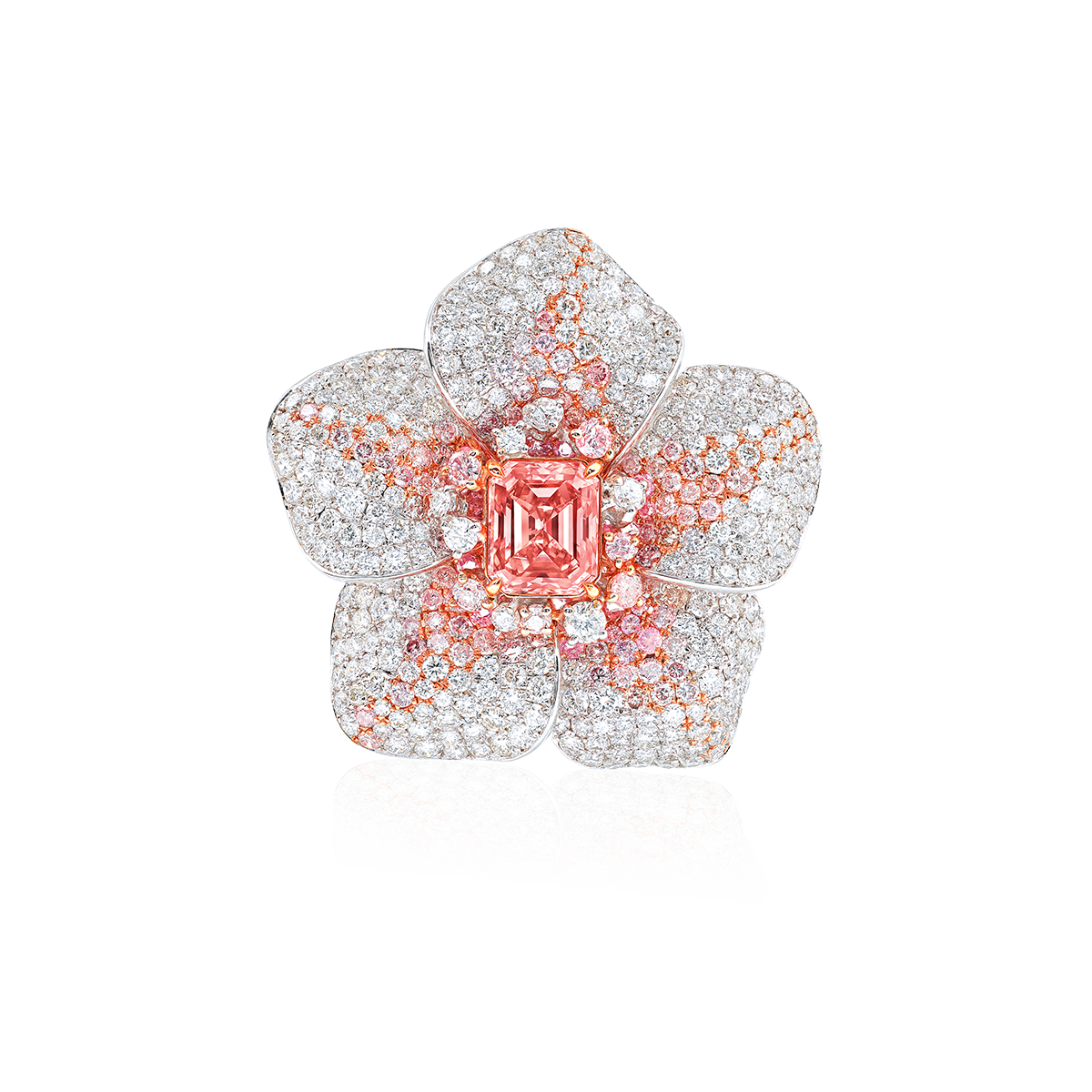 阿蓋爾粉鑽戒 1.07克拉
Pink Diamond from Argyle Mine 
and Diamond Ring
