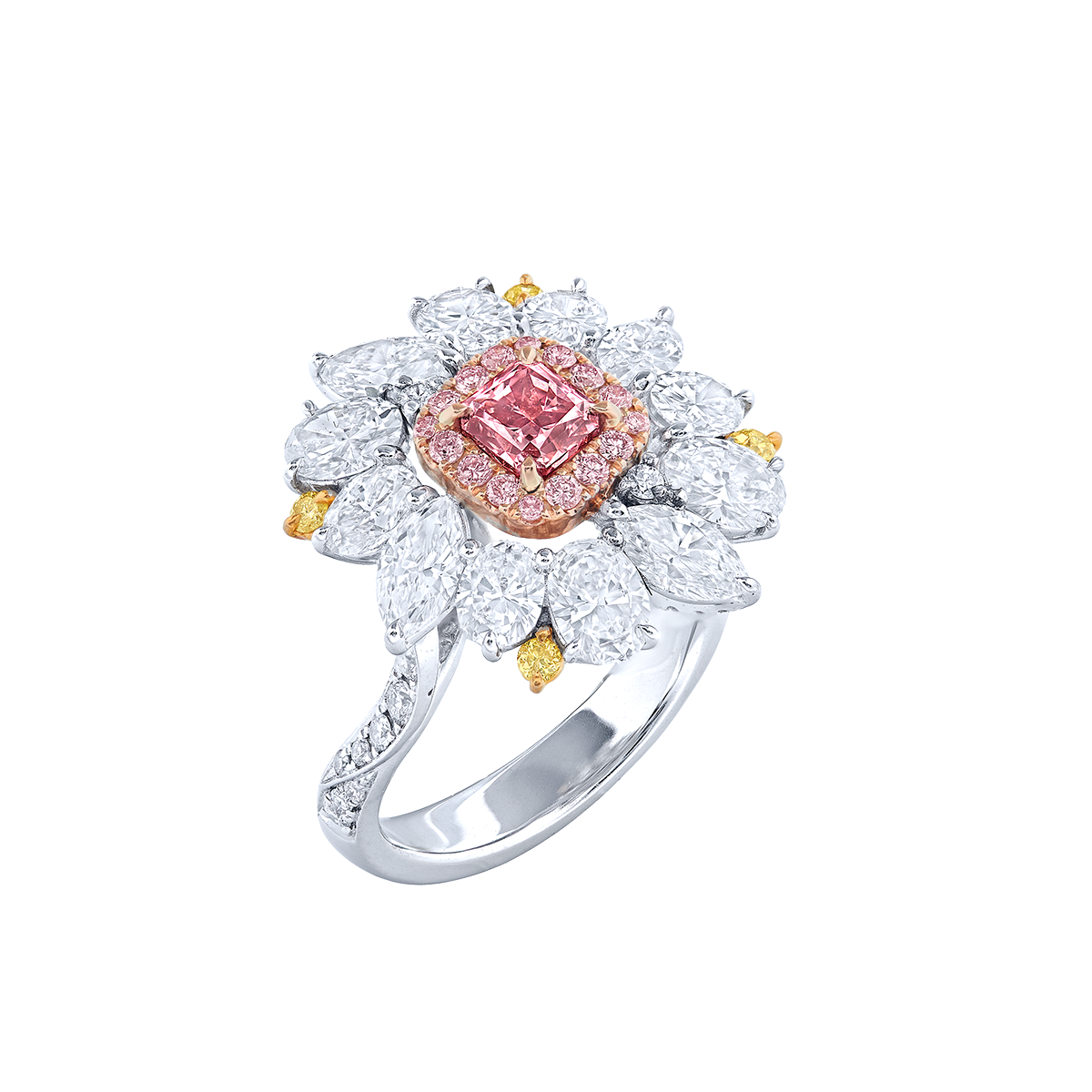 阿蓋爾粉鑽鑽戒 0.48克拉
Pink Diamond from Argyle Mine
and diamond Ring 