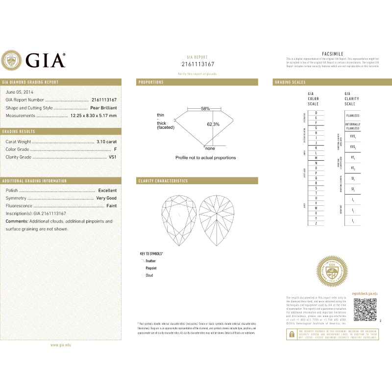 蝴蝶花彩鑽別針 3.10 克拉 GIA 白鑽