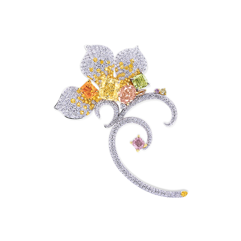 GIA 彩鑽胸針 1.00克拉
Multi - Colored Diamond and
Diamond Brooch