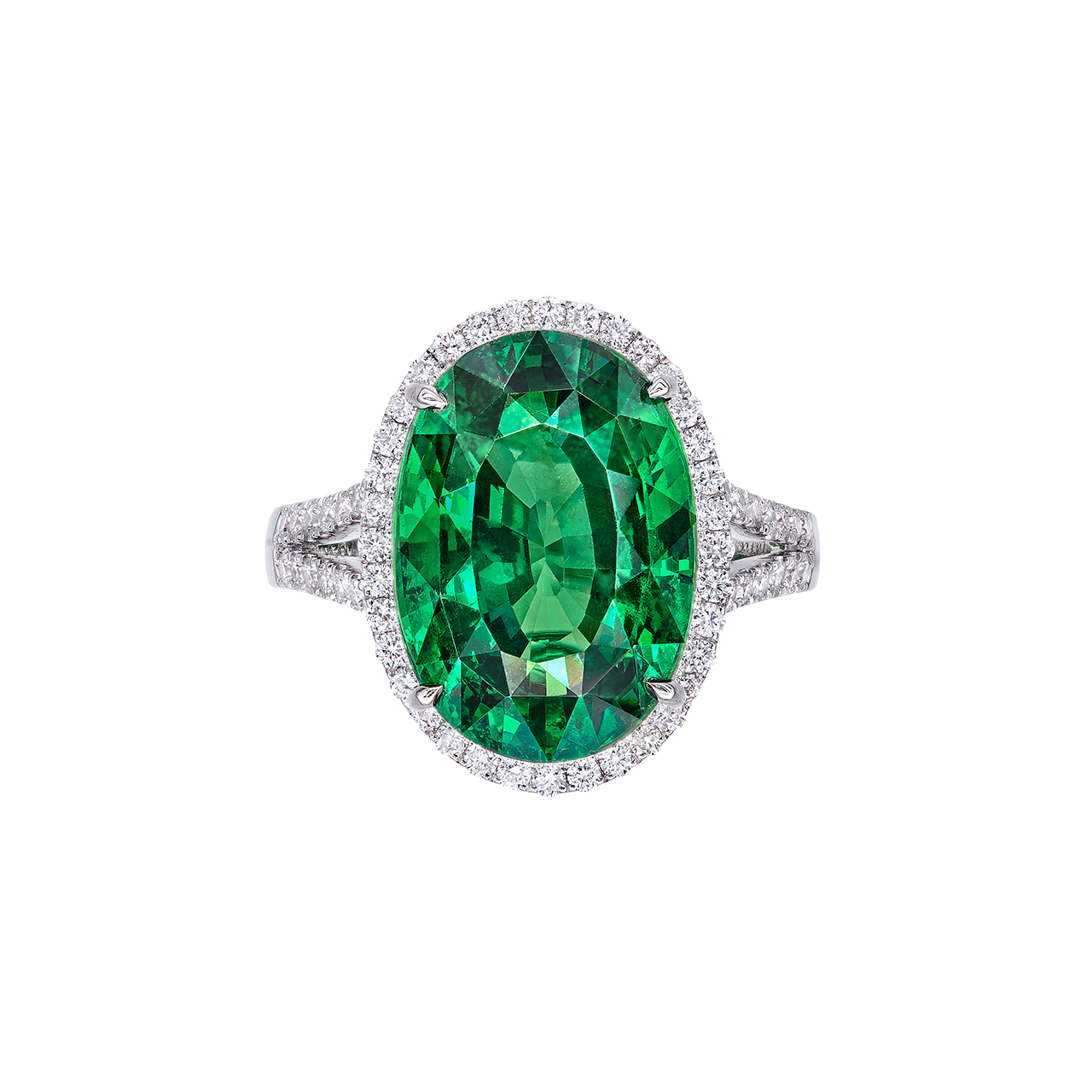 10.09克拉 天然無燒艷彩沙弗萊鑽戒
VIVID GREEN TSAVORITE GARNET 
AND DIAMOND RING