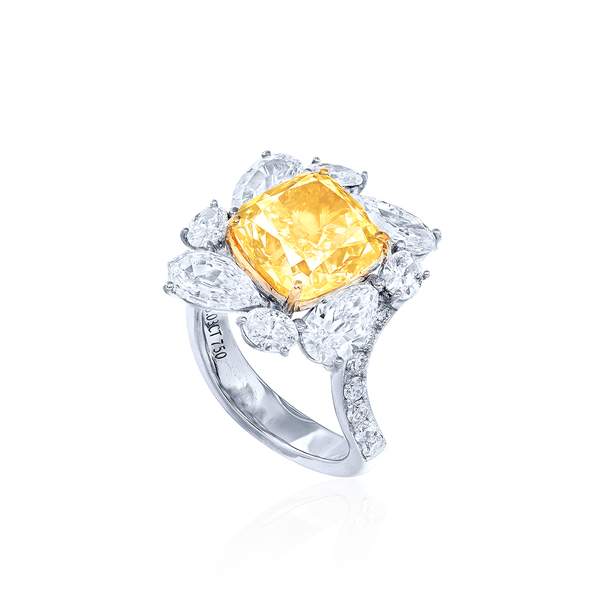 GIA 5.03克拉 黃彩鑽鑽戒
FANCY YELLOW DIAMOND 
AND DIAMOND RING