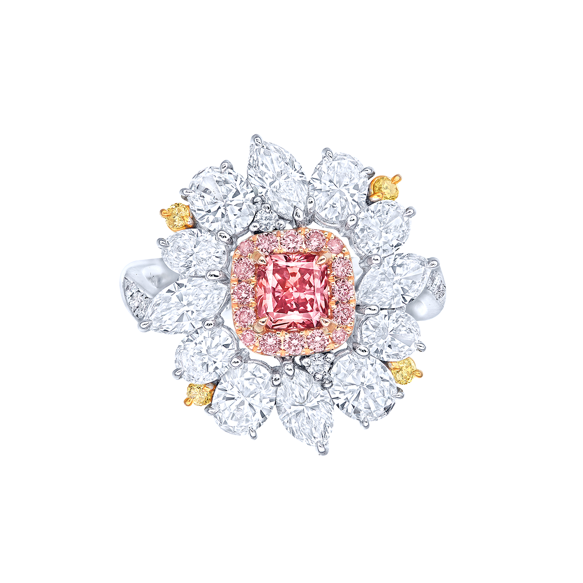 阿蓋爾粉鑽鑽戒 0.48克拉
Pink Diamond from Argyle Mine
and diamond Ring 