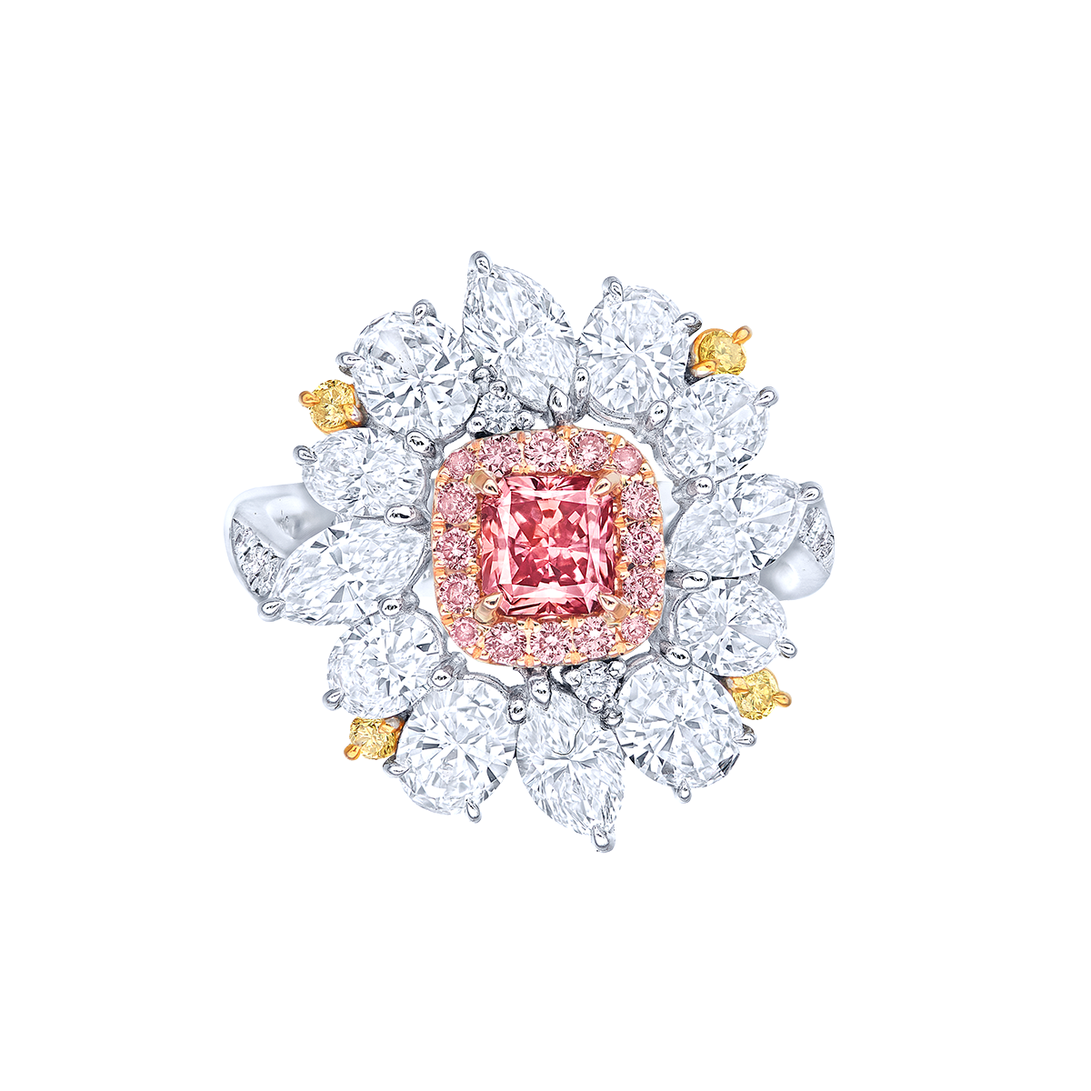 阿蓋爾粉鑽鑽戒 0.48克拉
Pink Diamond from Argyle Mine
and diamond Ring 